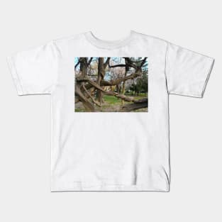 Bucharest Park Capture - Cismigiu Gardens Old Twisted Tree Kids T-Shirt